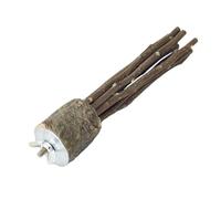 Parrot Wood Perch, Parrot Perch Made of Natural Wood, Cockatiel Bass, Natural Parrot Perch, Bird Stand, Paw Grinding Fork, Parakeets That Kle on Standing Branches