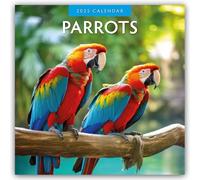 Parrots 2025 Square Wall Calendar by Red Robin 9781804424025 NEW