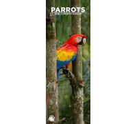 Parrots 2026 Wall Calendar, 12-Month Slim Format, Made in England
