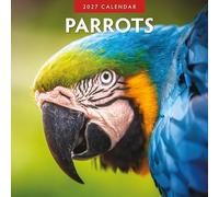 Parrots - 2027 Square Wall Calendar - by Red Robin Publishing