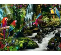 Parrots in the Jungle