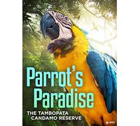Parrot's Paradise