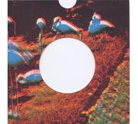 Parsley Sounds - Platonic Rate/You're Not Lost [7" VINYL]