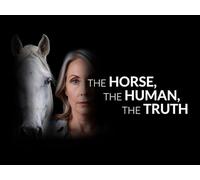 Part 2: Violence's Hidden Echo