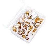 Parthan 100 Pcs White Drawing Pins, Push Tack, White Drawing Pins, Thumbtacks for Pinboard, Bulletin Board, Cork Board, Office and Home Use