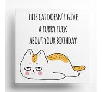 PartiKraft - 'This Cat Doesn't Give A Furry F**k' Birthday Greetings Card with Luxury Textured Envelope