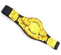 Partilandia Gold Boxing or Wrestling Champion Belt