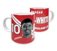 Partisan Forest Mug Gibbs-White 11oz