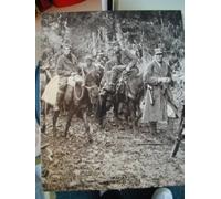 Partisans and Guerrillas (World War II S.)