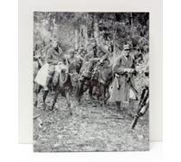 Partisans and Guerrillas (World War II S.)