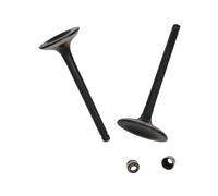 Parts 1Pc Intake and 1Pc Exhaust Valve Kit Fit for His HS 500CC ATV UTV HS ERP Code P002000147110000 P002000147210000