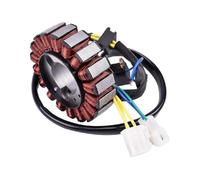 parts Motorcycle Generator Magneto Stator Ignition Coil Parts Fit For Hyo GT250 GT-250 GV250 GTR250 GTR 250 GT 250 GV 250 GT-R250