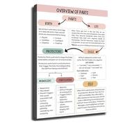 Parts Work Poster IFS Mapping Systems Chart