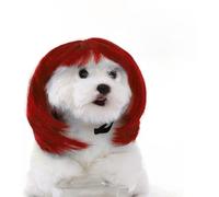 Partslety Dog Wig Pet Costume - Funny Curly Cosplay Decoration With Adjustable Elastic Bands for Halloween Christmas Parties Festivals - Red