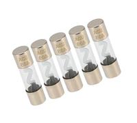 Partuto 5 Pcs 80A Universal AGU Fuse - Metal Glass Silver Tone