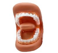Party 256 Educational Teeth Soft Wearable Mouth Hands On Learning | For Kids Adults Classroom Teaching Hygiene Demonstration Study Practice Portable (Red, 15X10. 5cm)