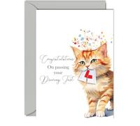 Party Cat Kitten, Congratulations Driving Test Pass Card