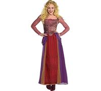 Party City Hocus Pocus, Sarah Sanderson Halloween Costume for Women, Small/Medium, Dress with Faux Bodice Multicolor, Brown