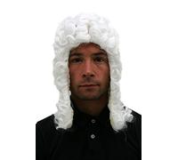 Party/Fancy Dress/Halloween WIG men women unisex WHITE baroque LORD JUDGE aristocrat PW0171-P60