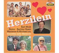 Party Service Band Bachler Baum Heino Original Oststeirer Trio Original Filzmooser Buam - HerziIein, du musst nicht traurig sein …