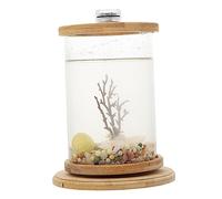 PartyKindom 1 Set Transparent Aquarium Tank Rotating Eco Bottle with Phyllostachys Pubescens Frame Unique Decorative Fish Bowl for Home Office for Family and Friends