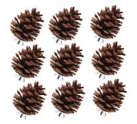 PartyKindom 10pcs Pine Cone Bird Foraging Durable Chewing for Parrots and Small Birds Easy to Install Hanging Design Promotes Active Play and Physical Activity