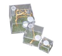 PartyKindom 3pcs Acrylic Jumping Spider Feeding Box Small Habitat Enclosure Humidifier and Feeding Ports for Florida Jumping Spiders and Insects