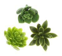 PartyKindom 3pcs Simulated Succulent Sticks Decor in Green Plastic, Lifelike and Vivid Artificial Succulent Twig Decoration for Indoor Flowerpots, for Arts and Crafts DIY Or Party Decoration