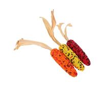 PartyKindom 3pcs Simulation Corn Models Decorative Artificial Corn Props for Farmhouse Restaurant Learning Teaching Photography Multi Functional Vegetable Cognition Display