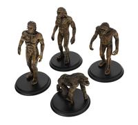 PartyKindom 4Pcs Human Evolution Models Educational Props for Teaching Tool for Cognitive Development Sapiens Figurines Science Experiment Home