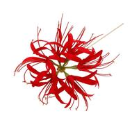 PartyKindom Chinese Hair Sticks Vintage Red Spider Lily Flower Hair Chopsticks Women Girls
