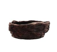 PartyKindom Creative Cement Succulent Bonsai Pot Imitation Tree Root Planter for Indoor Plants Compact Artistic Decor for Small Spaces and Succulent Growth