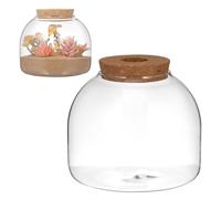 PartyKindom Glass Terrarium Jar with Wood Stopper Hydroponic Container for Miniature Landscapes Succulents Moss Plant Display Home Office Bedroom Decor