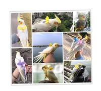 PartyKindom Parrot Harness Flying Traction Rope with Adjustable Elastic Lightweight Pet Flying Strap for Outdoor Bird Training Suitable for Cockatiels and Parrots Wings Design