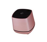 PartyKindom Portable USB Powered Computer Speaker Rose Gold Compact Mini Desktop Speaker with Bass Sound Stereo for Laptop Phone Home Office