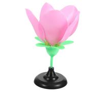 PartyKindom Realistic Peach Blossom Model Educational Floral Plant Anatomy Teaching Aid for Vivid Detail and Fine Workmanship for Biology Learning and Cognitive Development