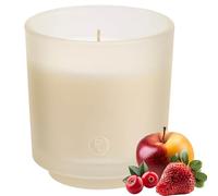 PartyLite Iced Snowberries Scented, Notes of Apple, Cranberry, Peach, Strawberry, Vanilla & Musk,10oz 1-Wick Aromatherapy Refillable Jar Candle, 50 Hour Burn Time, Sustainable Wax in Reusable Vessel