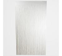 PARTYRAMA.CO.UK Matte White Plastic Fringe Door Curtain 1.9m x 99cm