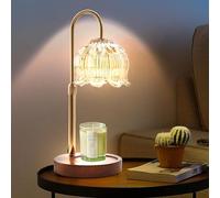 Paryou Candle Warmer Lamp with Dimmer - Electric Candle Lamp with Timer for Jar Candles Scented Candles with 2 Bulb