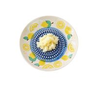 Pasbuteiy Ceramic Garlic Grater Plate, Manual Ceramic Bowl with Fruit Pattern, Garlic Grating Bowl, for Ginger, Cheese, Tomatoes, Strawberries, Baking, Cooking in the Kitchen
