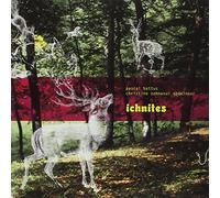 Pascal Battus & Christine Sehnaoui Abdelnour - Ichnites