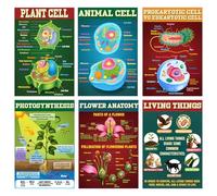 Pasimy 6 Pcs Science Posters Biology Posters for Classroom Biology & Life Science Charts for High School Biological Education Classroom Decorations, 11 x 17 Inches