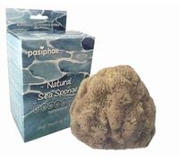 Pasiphae Natural Ocean sea Sponge,exfoliating Shower and Bath and Shower for Men - Women,eco Bath Gift,in Carton,Size XL,14-16cm