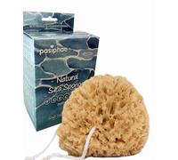 Pasiphae Natural Sea Sponge Honeycomb Extra Soft for Bath & Shower,Premium Quality from Greece, on a Rope, loofah eco Gift in Carton, (Pack of 1-Size M -11-13cm)