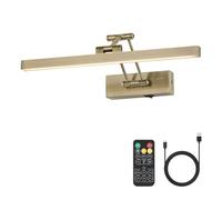 Pasoar Picture Light Battery Operated Brass 40 cm Long Rechargeable Wall Lights Dimmable LED Library Light with Swing Arm and Timer Function Battery Wall Light Indoor Gold Colour