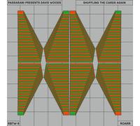 Passarani presents David Woods : Shuffling the Cards Again VINYL 12" Album
