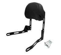 Passenger backrest Fit For ZONTES C2 125-C2 200C2 125C2 Black Detachable Backrest Rear Passenger Sissy Bar Luggage Rack Backrest pad,(Backrest)