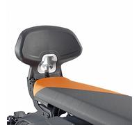 Backrest Passenger, GIVI TB5142A for BMW Ce 04