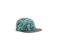 Passenger Coast Organic Cotton 5 Panel Cap (UK, Alpha, One Size, Elemental Geo Arctic)
