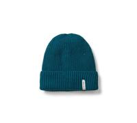 Passenger Compass Recycled Beanie (Shaded Spruce)